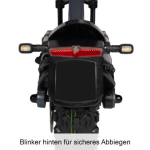 trittbrett hilde escooter elektroscooter detailaufnahme von hinten mit rücklicht und blinkern