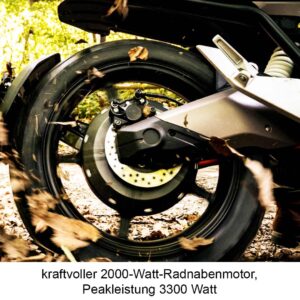 Hinterrad von Elektromotorrad Super Soco TC Wanderer 75 km/h