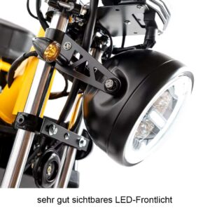 Frontlicht von Mopedix Electrix 45er eRoller eMoped